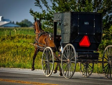Horse drawn black Amish buggy